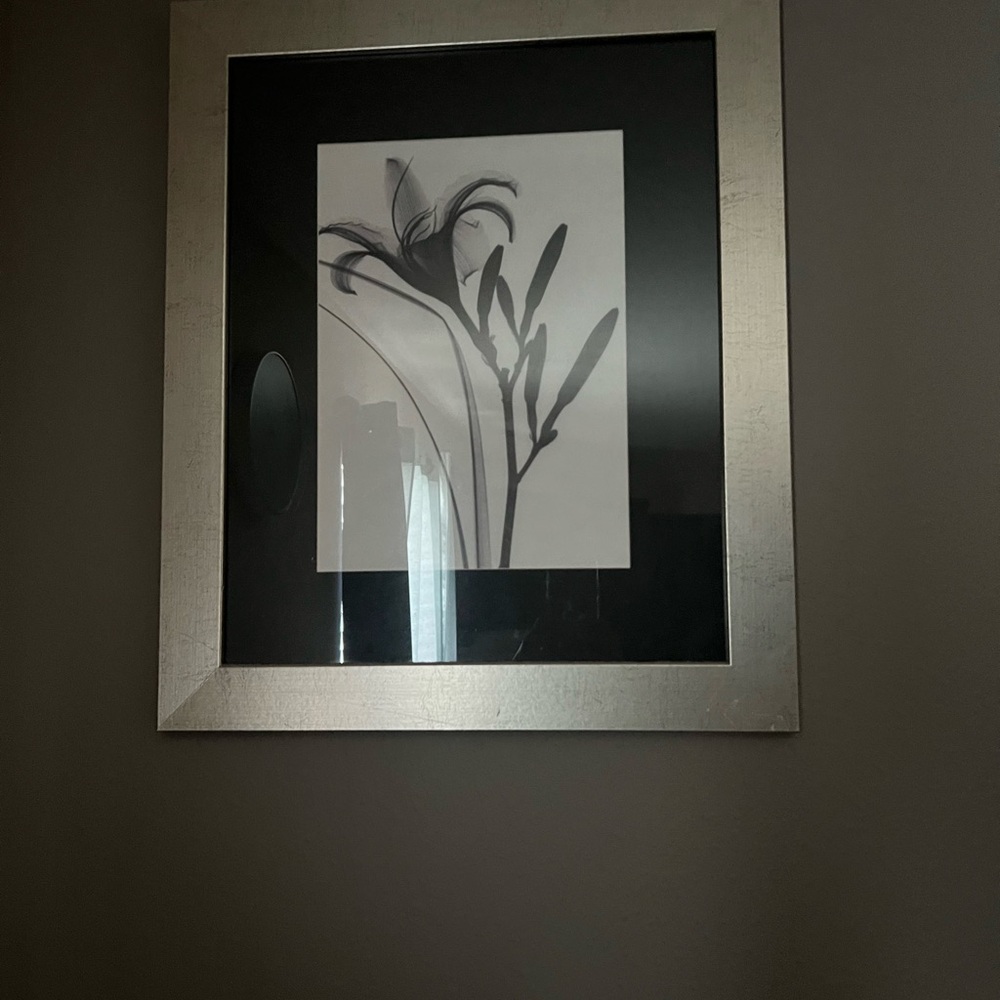 Silver Framed Black and White Floral Wall Art